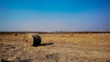 Winzinator Kaszinó Mobilalkalmazás